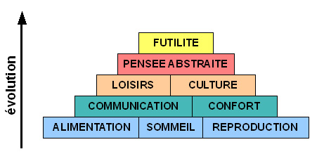 Pyramide de l’activité humaine en fonction de l’évolution.